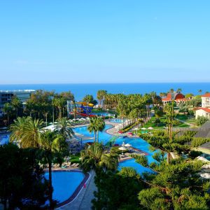 Arum Barut Collection